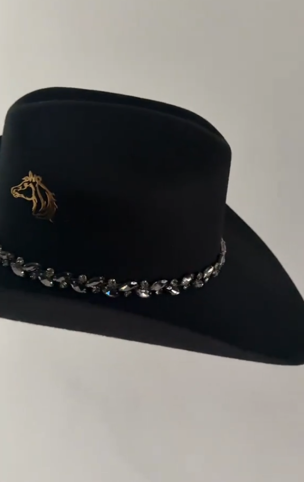 Crystal Casual Cowboy Hat